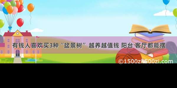 有钱人喜欢买3种“盆景树” 越养越值钱 阳台 客厅都能摆