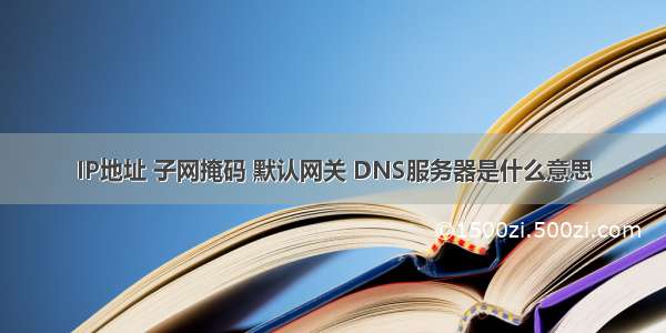 IP地址 子网掩码 默认网关 DNS服务器是什么意思