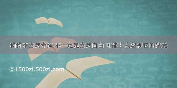 狗狗不喜欢牵绳 不一定是喜欢自由 可能主人忽视它的感受