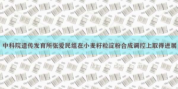 中科院遗传发育所张爱民组在小麦籽粒淀粉合成调控上取得进展