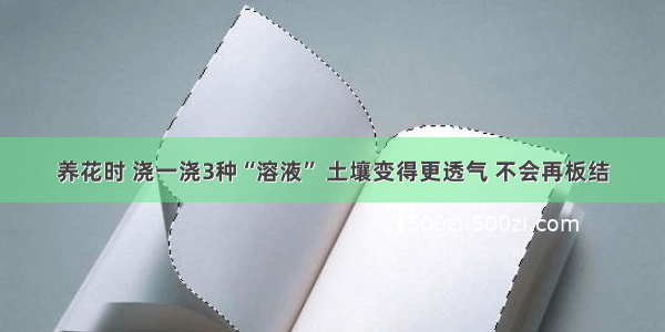 养花时 浇一浇3种“溶液” 土壤变得更透气 不会再板结