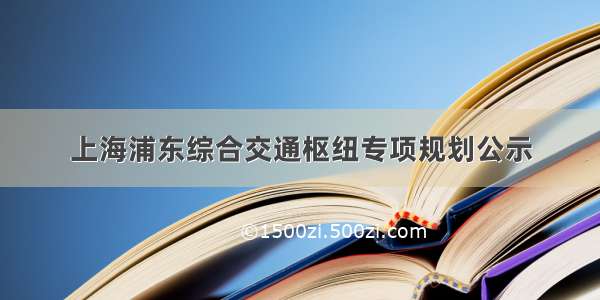 上海浦东综合交通枢纽专项规划公示