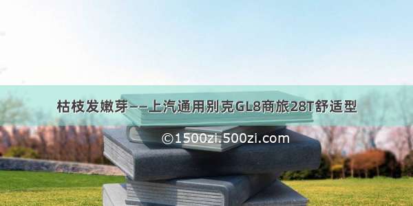 枯枝发嫩芽——上汽通用别克GL8商旅28T舒适型