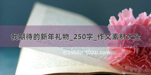 我期待的新年礼物_250字_作文素材大全