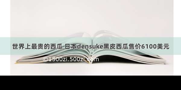 世界上最贵的西瓜 日本densuke黑皮西瓜售价6100美元