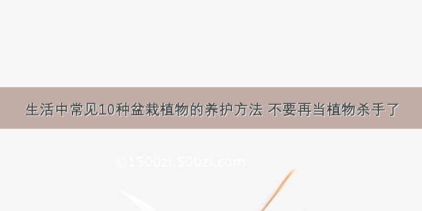 生活中常见10种盆栽植物的养护方法 不要再当植物杀手了