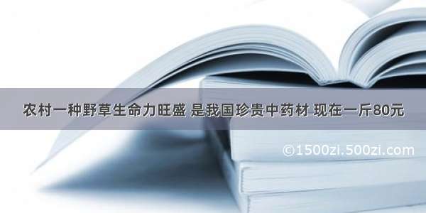 农村一种野草生命力旺盛 是我国珍贵中药材 现在一斤80元