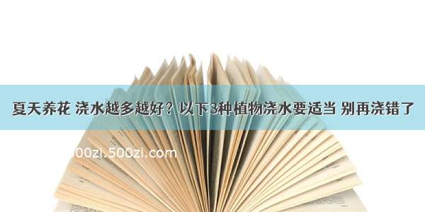 夏天养花 浇水越多越好？以下3种植物浇水要适当 别再浇错了