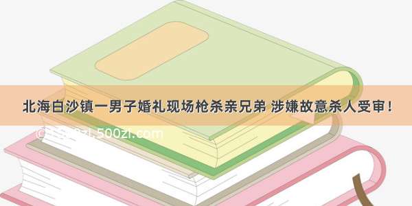 北海白沙镇一男子婚礼现场枪杀亲兄弟 涉嫌故意杀人受审！