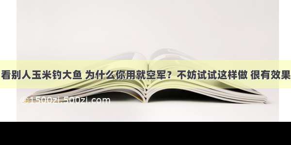 看别人玉米钓大鱼 为什么你用就空军？不妨试试这样做 很有效果