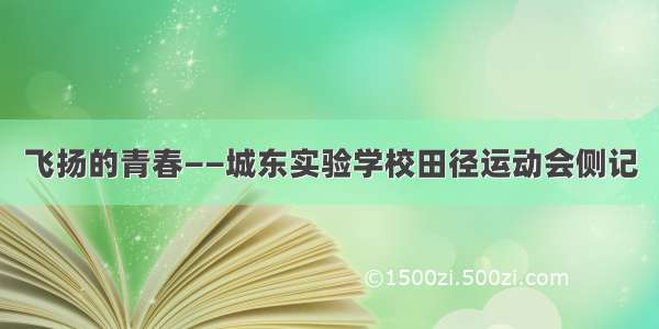 飞扬的青春——城东实验学校田径运动会侧记