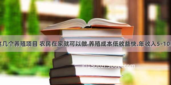 农村这几个养殖项目 农民在家就可以做 养殖成本低收益快.年收入5-10万以上