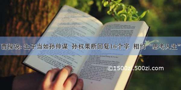 曹操说: 生子当如孙仲谋  孙权果断回复16个字  相约“思考人生”