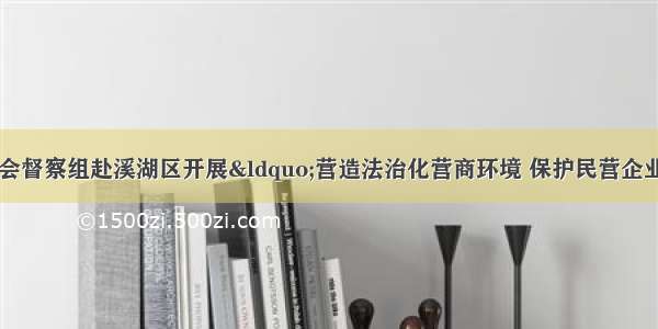 市委法治建设委员会督察组赴溪湖区开展“营造法治化营商环境 保护民营企业发展”专项