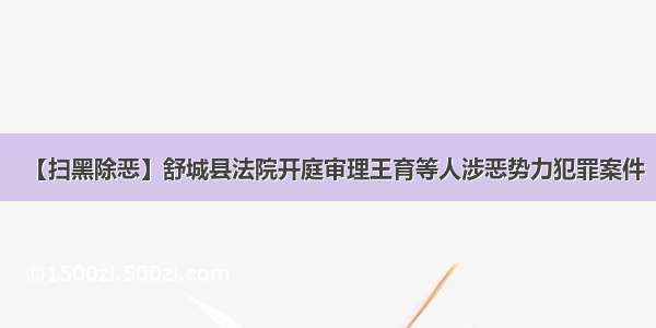 【扫黑除恶】舒城县法院开庭审理王育等人涉恶势力犯罪案件