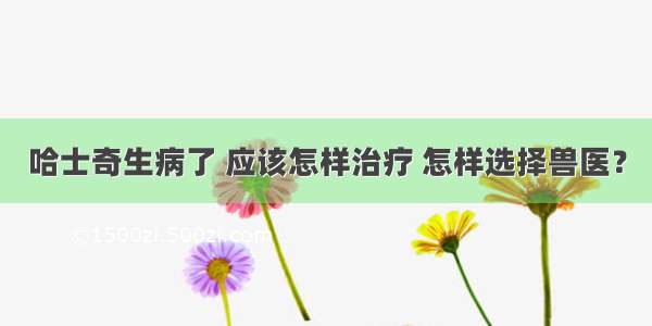 哈士奇生病了 应该怎样治疗 怎样选择兽医？