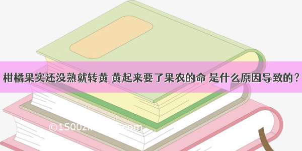 柑橘果实还没熟就转黄 黄起来要了果农的命 是什么原因导致的？