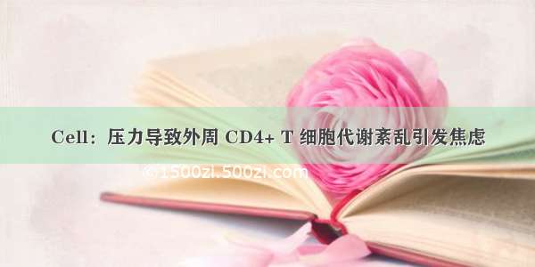 Cell：压力导致外周 CD4+ T 细胞代谢紊乱引发焦虑