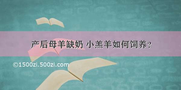 产后母羊缺奶 小羔羊如何饲养？