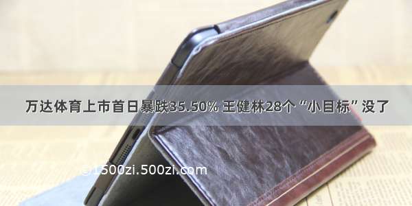 万达体育上市首日暴跌35.50% 王健林28个“小目标”没了