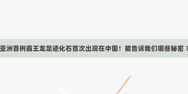 亚洲首例霸王龙足迹化石首次出现在中国！能告诉我们哪些秘密 ？