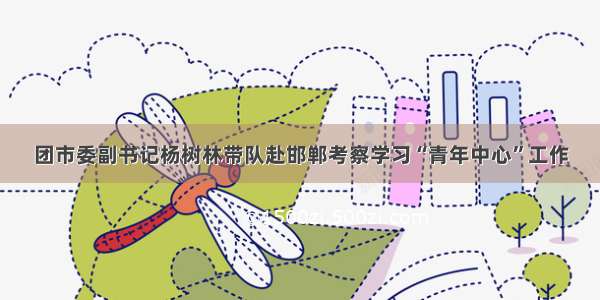 团市委副书记杨树林带队赴邯郸考察学习“青年中心”工作