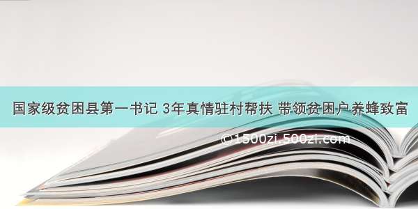 国家级贫困县第一书记 3年真情驻村帮扶 带领贫困户养蜂致富