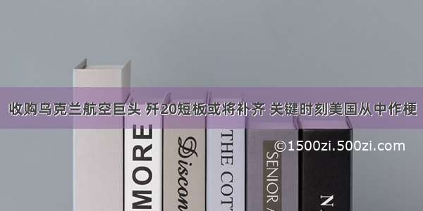 收购乌克兰航空巨头 歼20短板或将补齐 关键时刻美国从中作梗