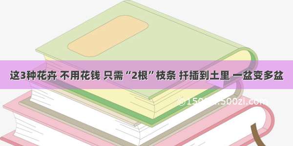 这3种花卉 不用花钱 只需“2根”枝条 扦插到土里 一盆变多盆