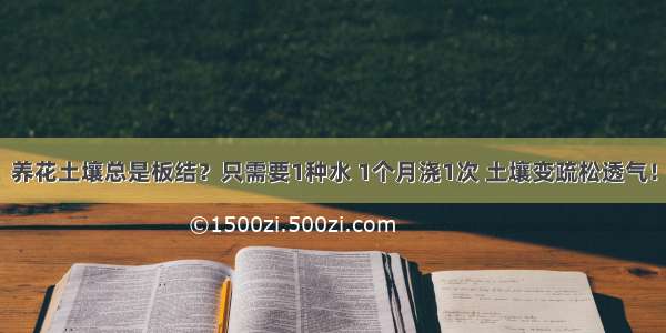 养花土壤总是板结？只需要1种水 1个月浇1次 土壤变疏松透气！