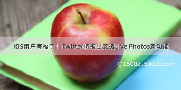 iOS用户有福了！Twitter将推出支援Live Photos新功能