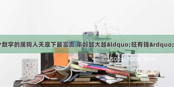 生日尾数在这6个数字的属狗人天底下最富贵 年龄越大越“旺有钱” 谁家有 肯定三代