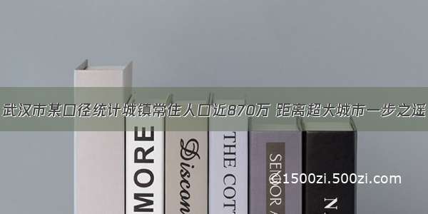 武汉市某口径统计城镇常住人口近870万 距离超大城市一步之遥