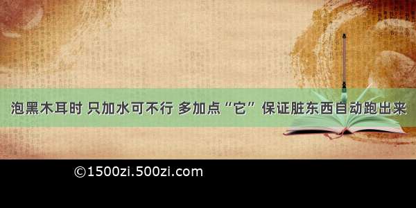 泡黑木耳时 只加水可不行 多加点“它” 保证脏东西自动跑出来