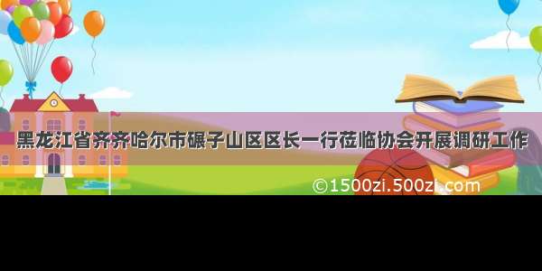 黑龙江省齐齐哈尔市碾子山区区长一行莅临协会开展调研工作