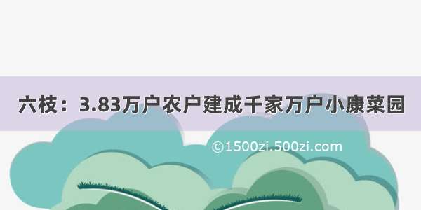 六枝：3.83万户农户建成千家万户小康菜园