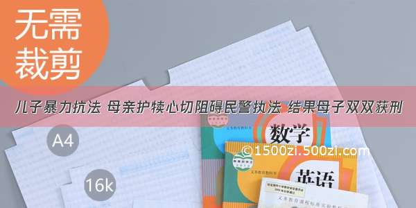 儿子暴力抗法 母亲护犊心切阻碍民警执法 结果母子双双获刑