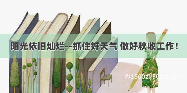 阳光依旧灿烂--抓住好天气 做好秋收工作！