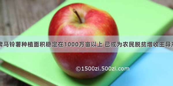 甘肃马铃薯种植面积稳定在1000万亩以上 已成为农民脱贫增收主导产业