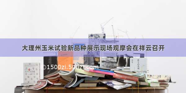 大理州玉米试验新品种展示现场观摩会在祥云召开