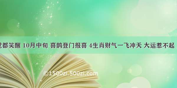 下半年睡觉都笑醒 10月中旬 喜鹊登门报喜 4生肖财气一飞冲天 大运惹不起 金银堆成山