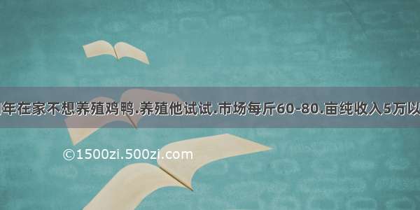 明年在家不想养殖鸡鸭.养殖他试试.市场每斤60-80.亩纯收入5万以上