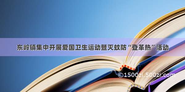 东岭镇集中开展爱国卫生运动暨灭蚊防“登革热”活动