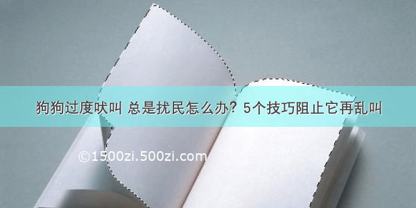 狗狗过度吠叫 总是扰民怎么办？5个技巧阻止它再乱叫