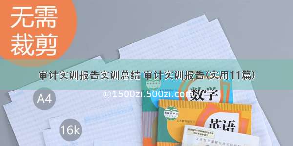 审计实训报告实训总结 审计实训报告(实用11篇)