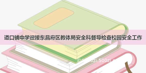 道口铺中学迎接东昌府区教体局安全科督导检查校园安全工作