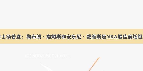 勇士汤普森：勒布朗·詹姆斯和安东尼·戴维斯是NBA最佳前场组合