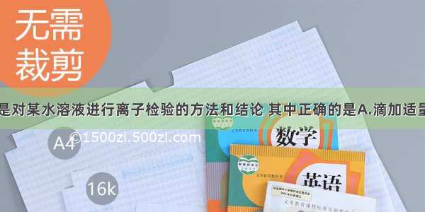 单选题以下是对某水溶液进行离子检验的方法和结论 其中正确的是A.滴加适量氯水不发生