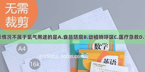 如图所示情况不属于氧气用途的是A.食品防腐B.动植物呼吸C.医疗急救D.金属切割