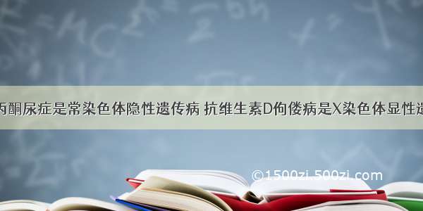 单选题苯丙酮尿症是常染色体隐性遗传病 抗维生素D佝偻病是X染色体显性遗传病。丈